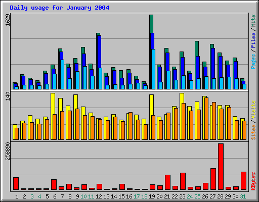 Daily usage for January 2004