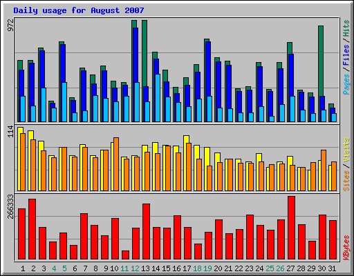 Daily usage for August 2007