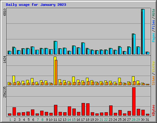 Daily usage for January 2023
