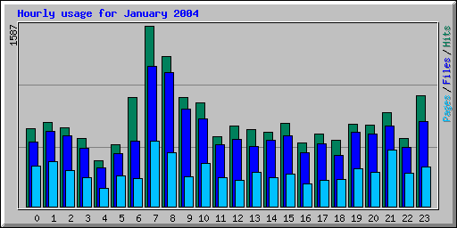 Hourly usage for January 2004