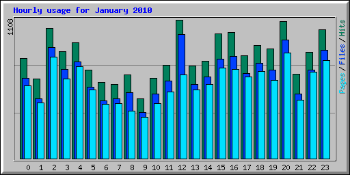 Hourly usage for January 2010