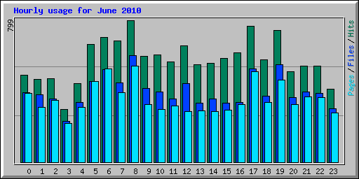Hourly usage for June 2010