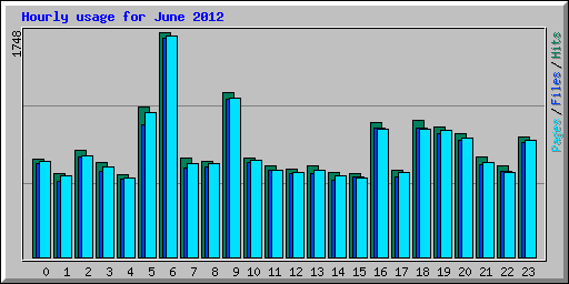 Hourly usage for June 2012