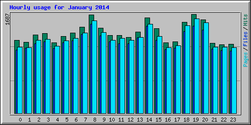 Hourly usage for January 2014