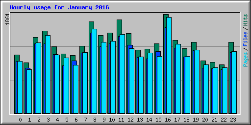 Hourly usage for January 2016