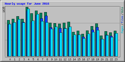 Hourly usage for June 2016