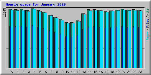Hourly usage for January 2020