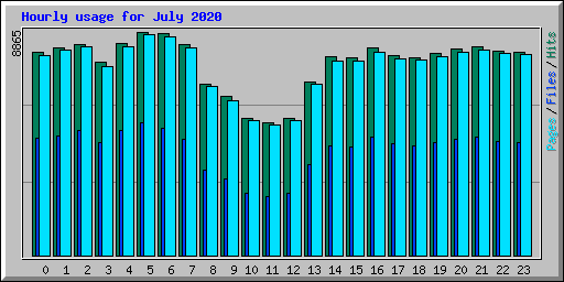 Hourly usage for July 2020