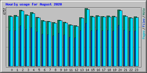 Hourly usage for August 2020