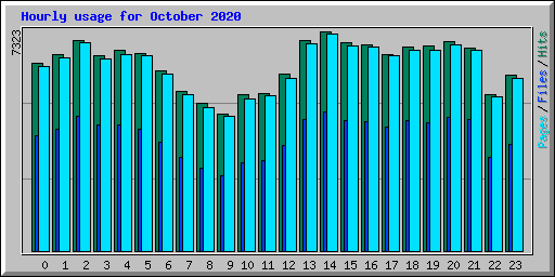 Hourly usage for October 2020