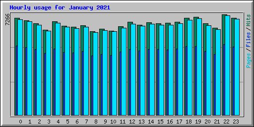 Hourly usage for January 2021