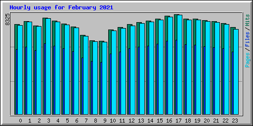 Hourly usage for February 2021
