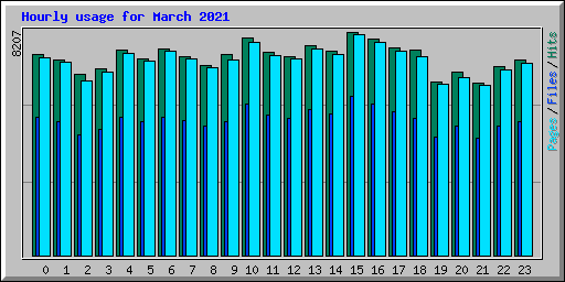 Hourly usage for March 2021