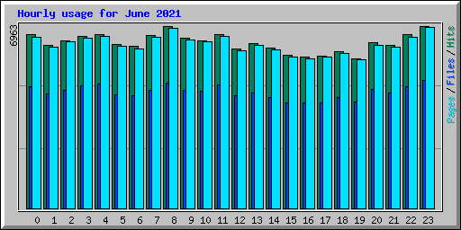 Hourly usage for June 2021