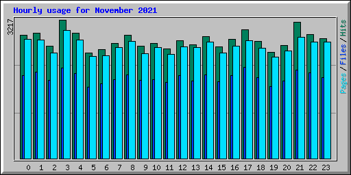 Hourly usage for November 2021