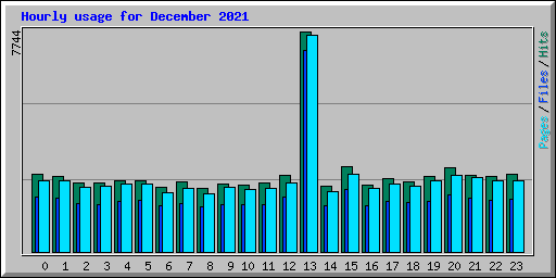 Hourly usage for December 2021