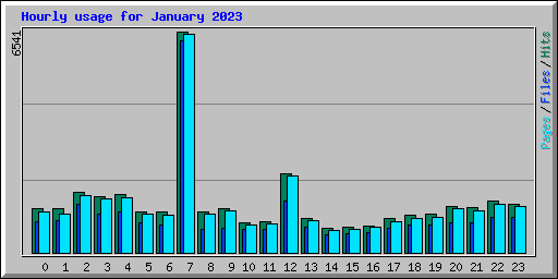 Hourly usage for January 2023