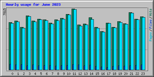 Hourly usage for June 2023