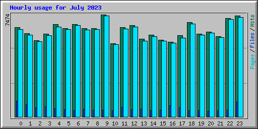 Hourly usage for July 2023
