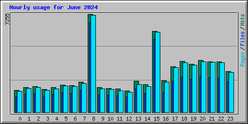Hourly usage for June 2024