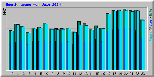 Hourly usage for July 2024