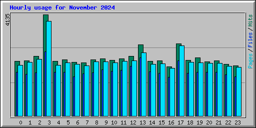 Hourly usage for November 2024